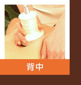 背中