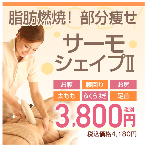 サーモシェイプⅡ