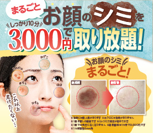 全顔まるごとシミ集中コース